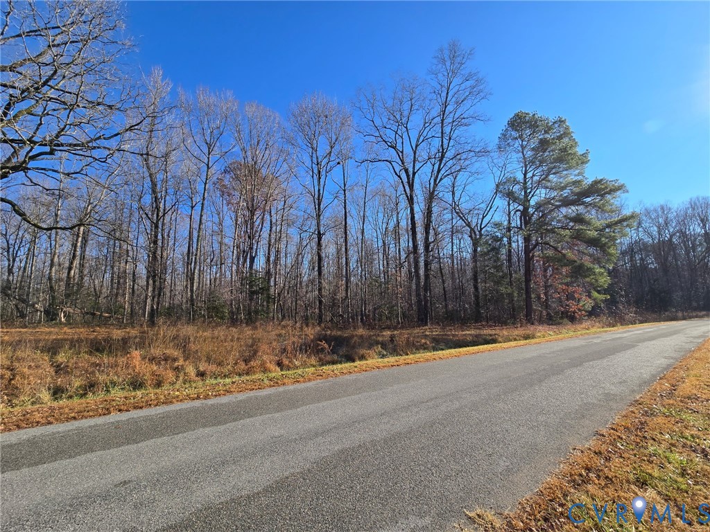 0 Aeolian Way Bumpass, VA 23024 - Photo 11 of 20 a view of a yard with large trees