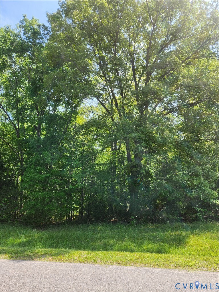 0 Aeolian Way Bumpass, VA 23024 - Photo 4 of 20 a view of a yard with a trees