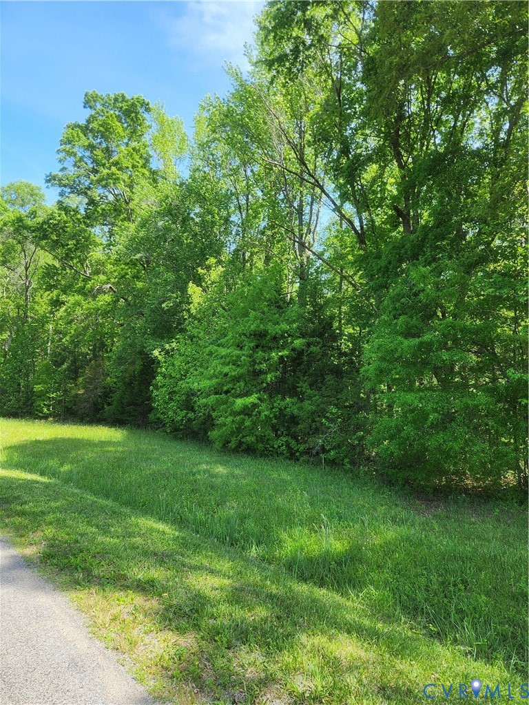 0 Aeolian Way Bumpass, VA 23024 - Photo 5 of 20 a view of a lush green space