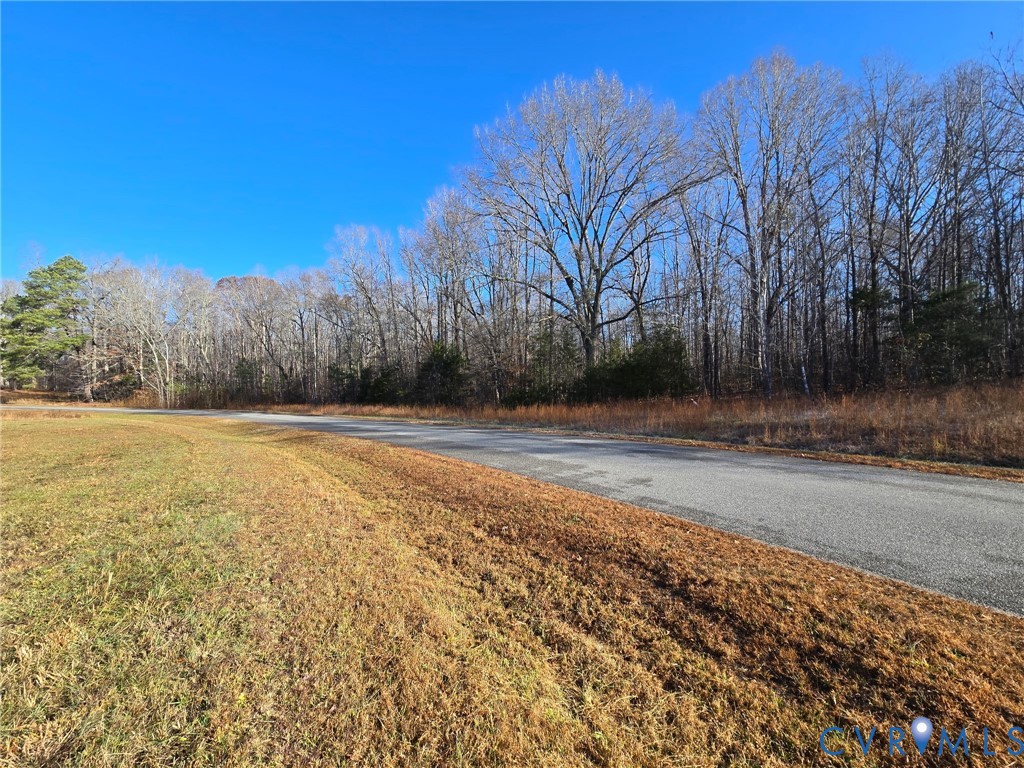 0 Aeolian Way Bumpass, VA 23024 - Photo 7 of 20 a view of backyard with large trees