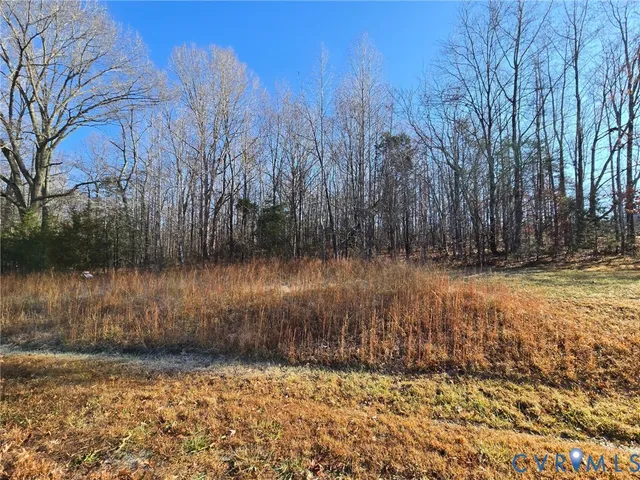 a street view covered with snow