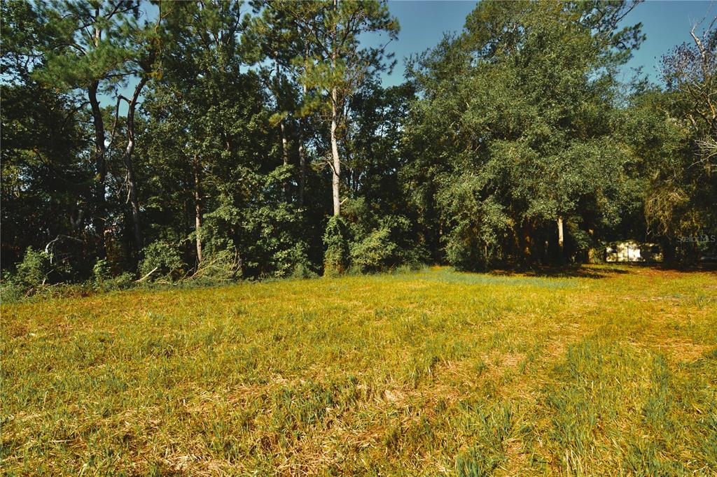0 Hall Lake Road Keystone Heights, FL 32656 - Photo 8 of 39 Gallery Image 8