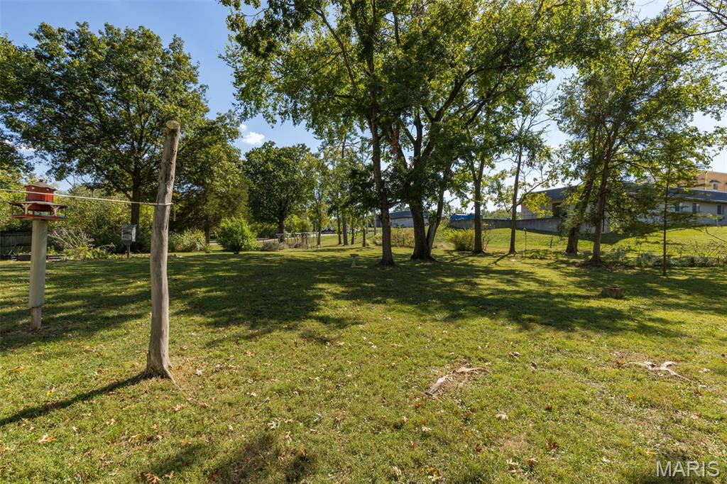 13 Mill Street Bonne Terre, MO 63628 - Photo 34 of 38