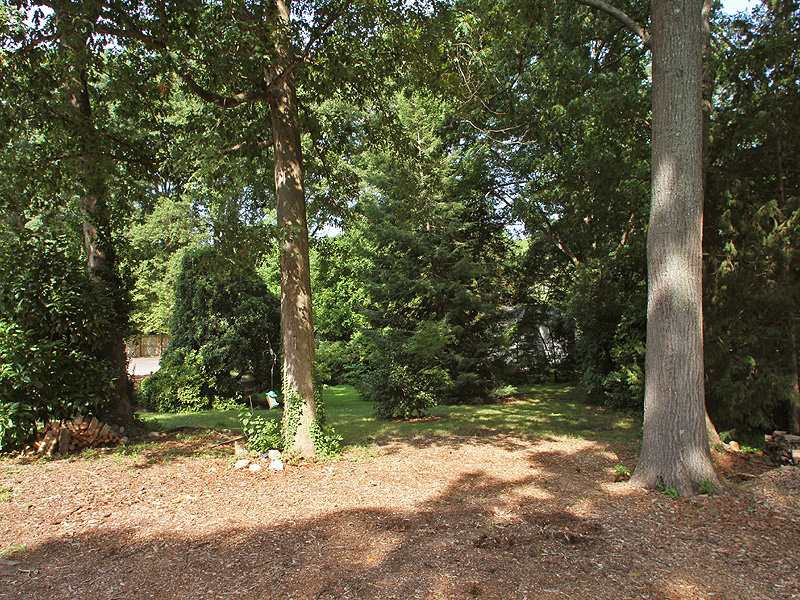 209 Dixie Trail Raleigh, NC 27607 - Photo 5 of 12 Another view of spacious backyard