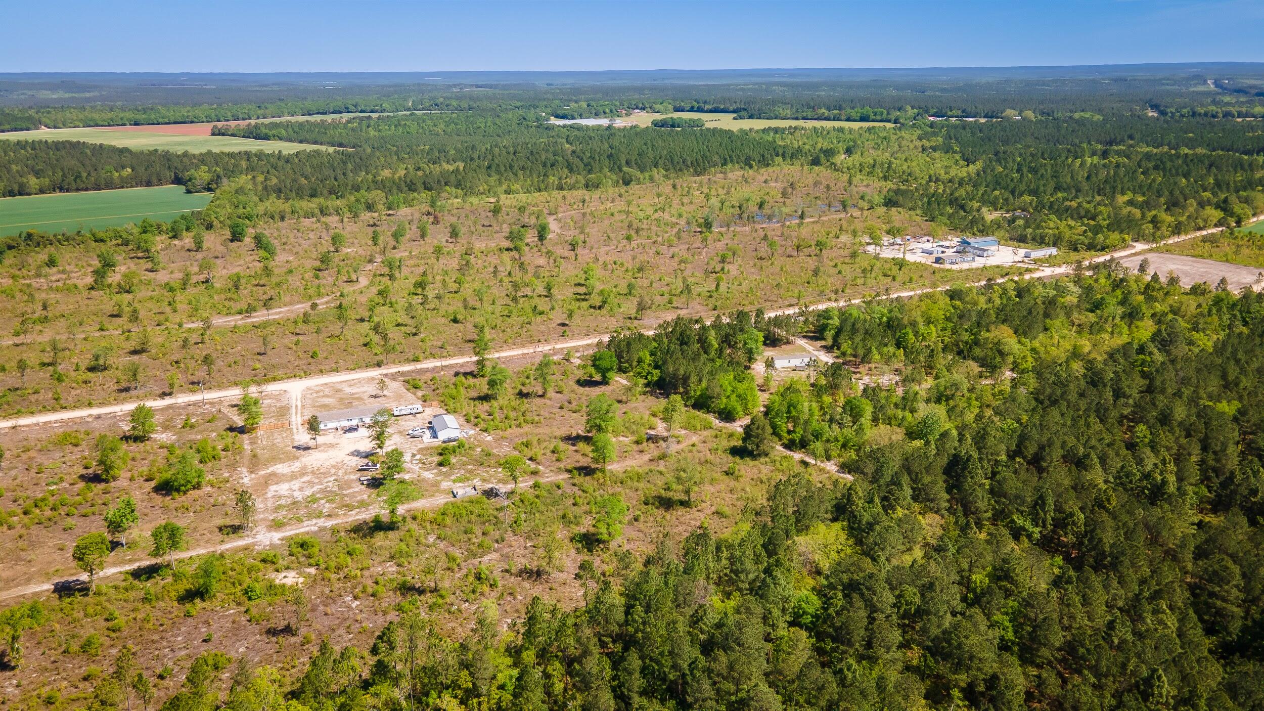 3-acres Old Shoals Road Monetta, SC 29105 - Photo 11 of 12