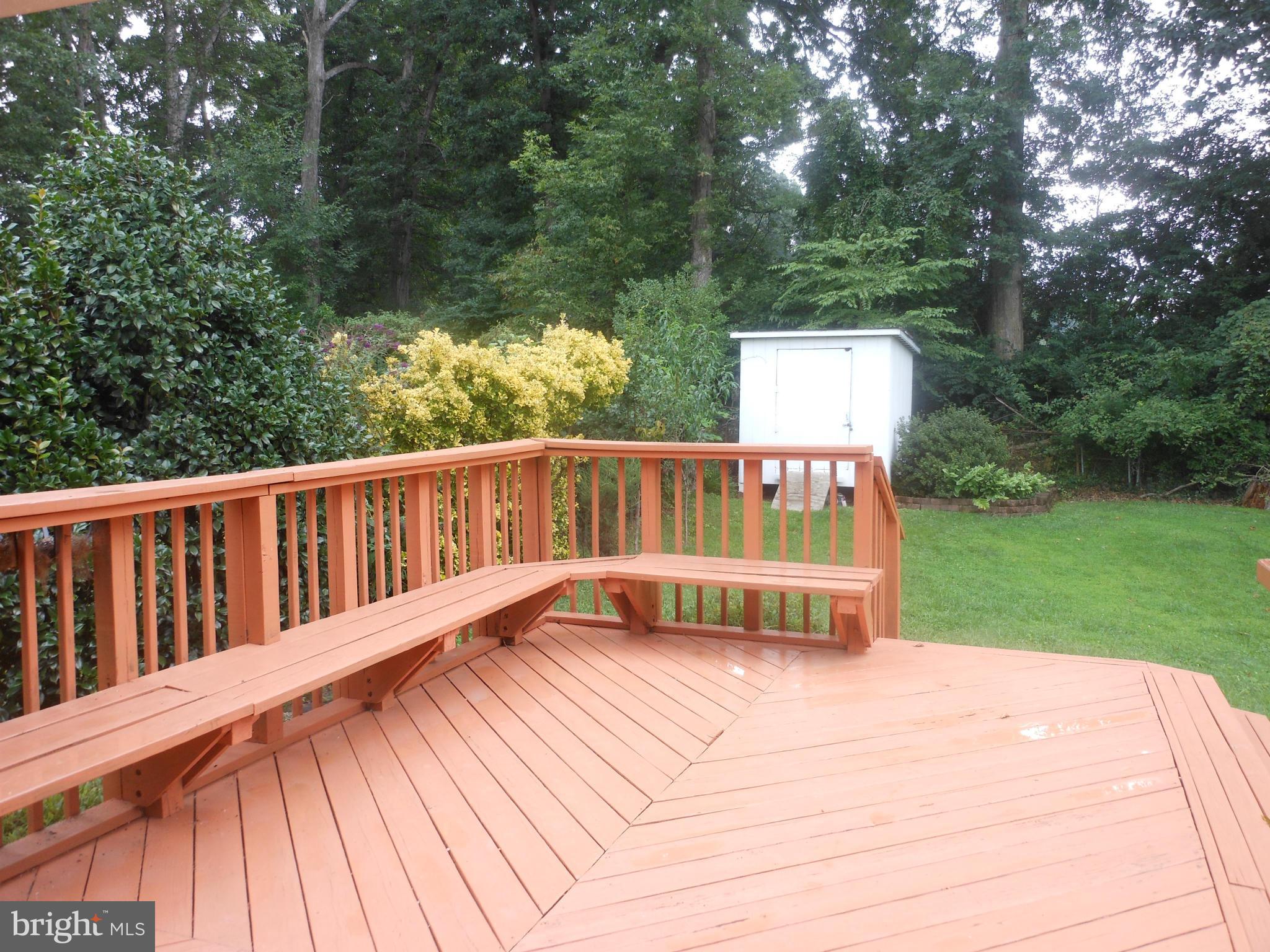 4306 Emden Street Silver Spring, MD 20906 - Photo 20 of 23 a view of a deck with a big yard potted plants and large tree