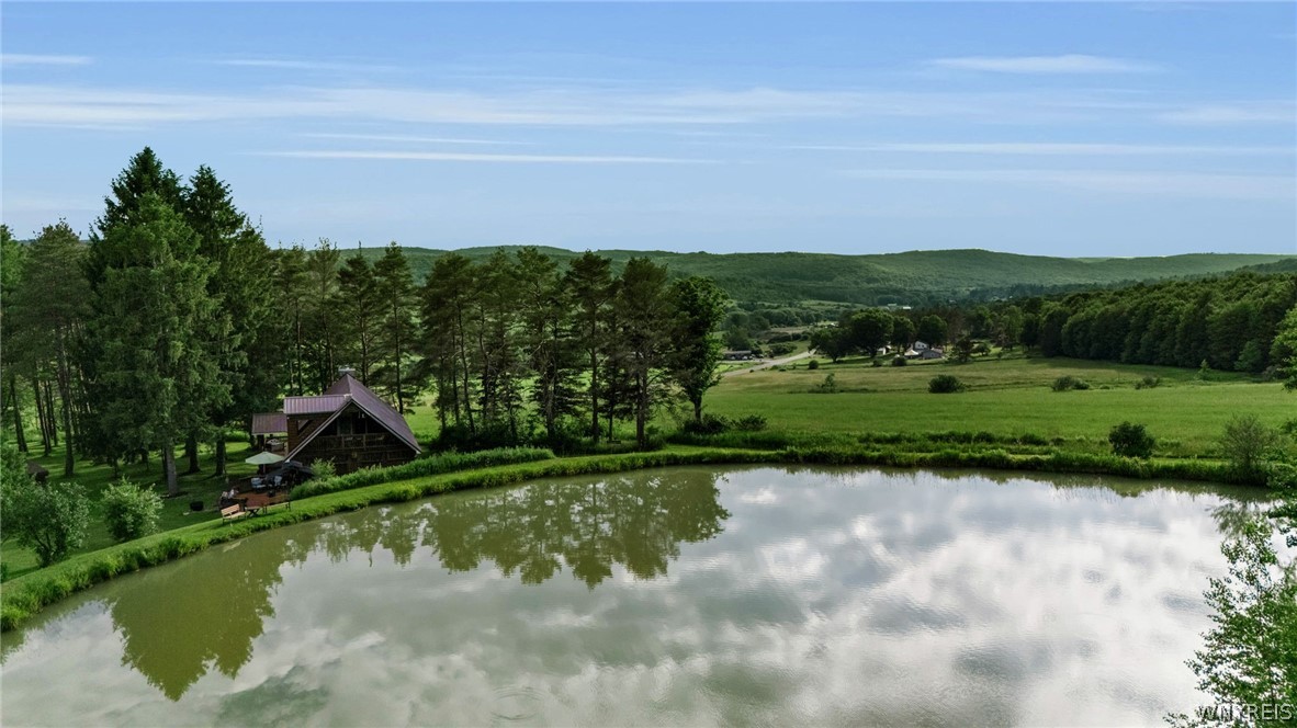 1510 Lyndon Center Road Lyndon, NY 14737 - Photo 17 of 50 14 ft Private Pond