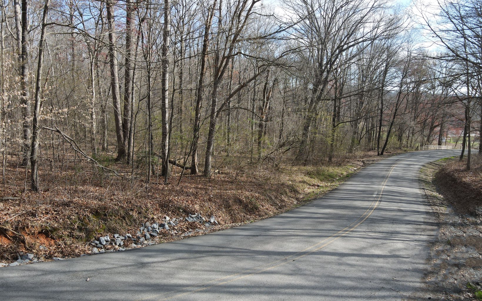 8.3-ac New Hope Road Morganton, GA 30560 - Photo 2 of 18 Additional View