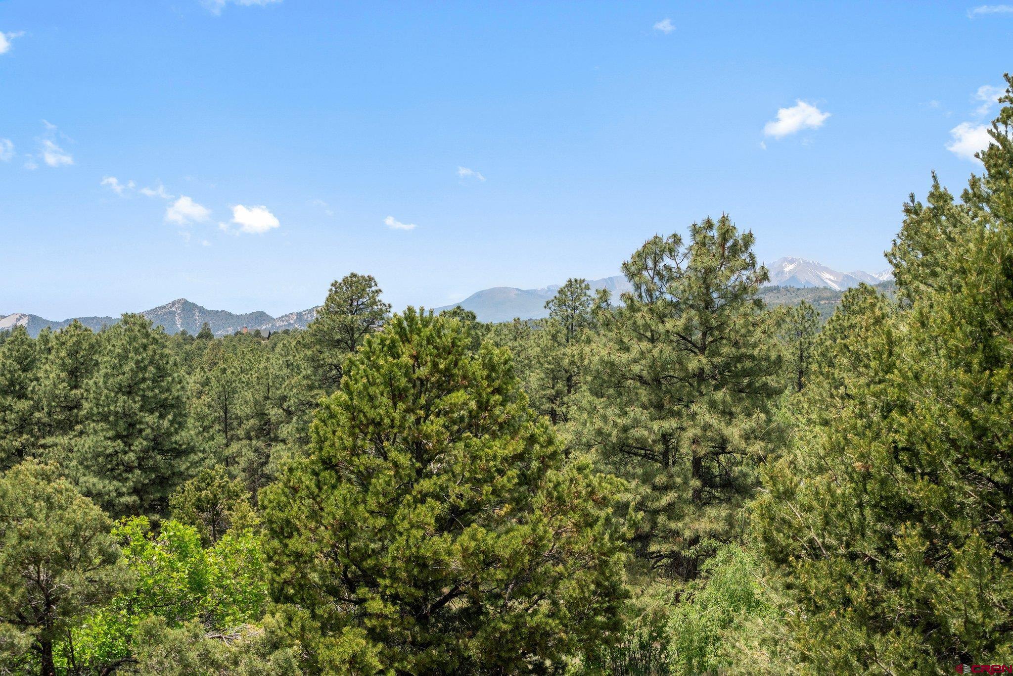 706 Fantango Road Durango, CO 81301 - Photo 29 of 35 Gallery Image 29