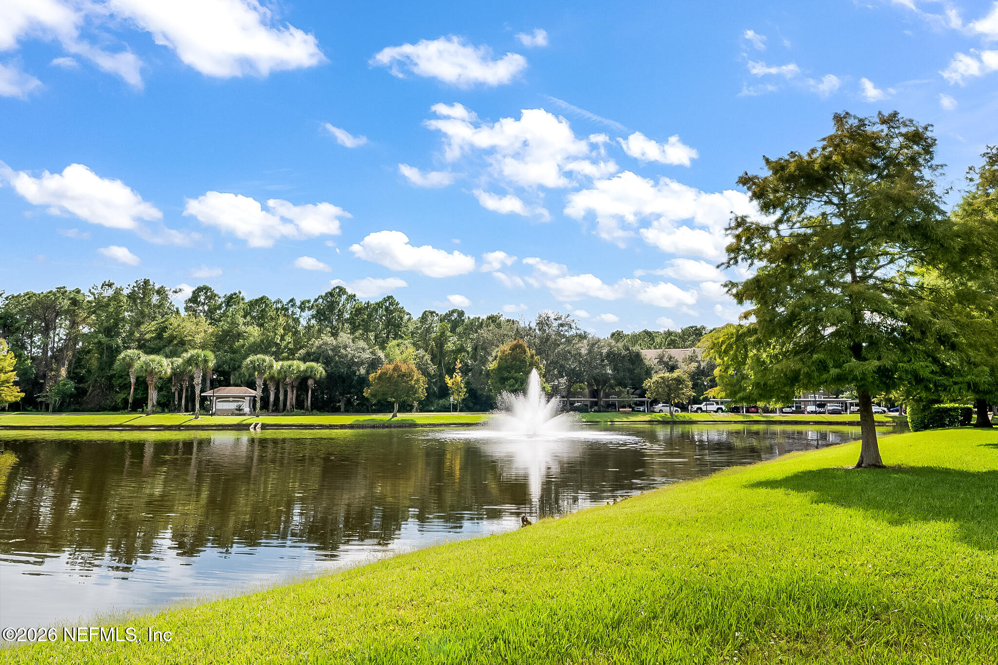 10550 Baymeadows Road, Unit 413 Jacksonville, FL 32256 - Photo 19 of 24 DSC02376