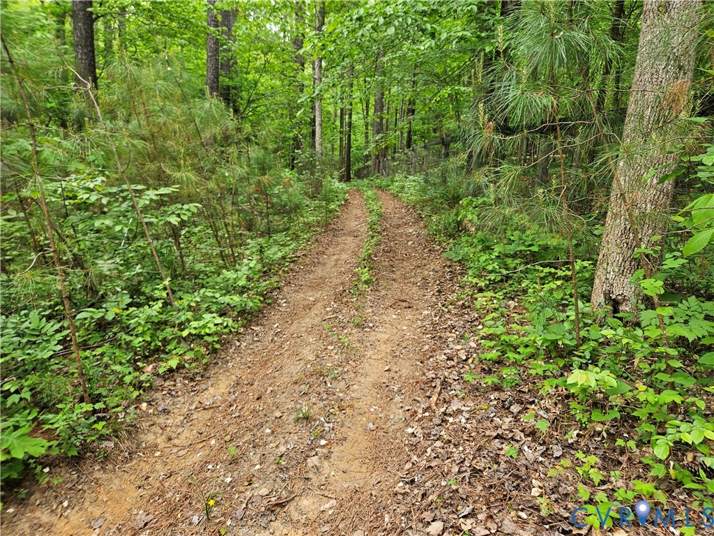 981 Scotts Bottom Road Dillwyn, VA 23936 - Photo 62 of 73 Gallery Image 62