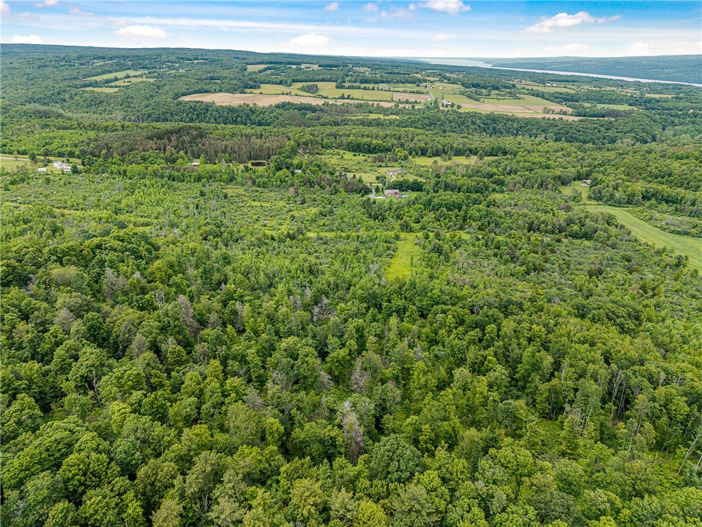 2868 Townsend Road Dix, NY 14891 - Photo 8 of 10