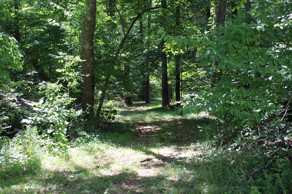 0 Wolf Mountain Road Murphy, NC 28906 - Photo 8 of 9