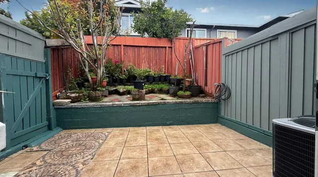 a view of a backyard with plants