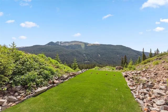 a aerial view of a house with a yard and lake view