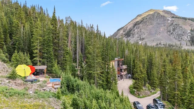 a view of a yard with trees