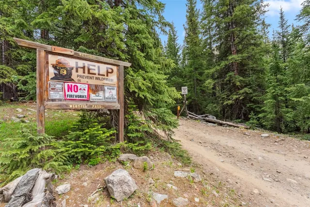 a view of a lush green forest with mountains in the background