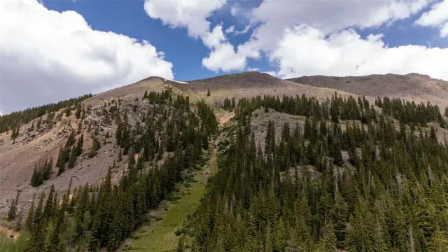 $2,500,000 | 353 Bullion Mine Road, Dillon, CO 80435