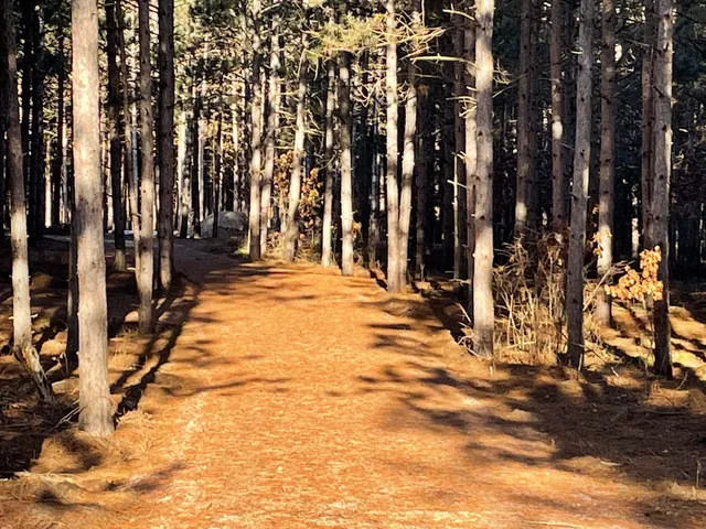 $69,000 | W3200 Yellow Banks Trail, Nekoosa, WI 54457