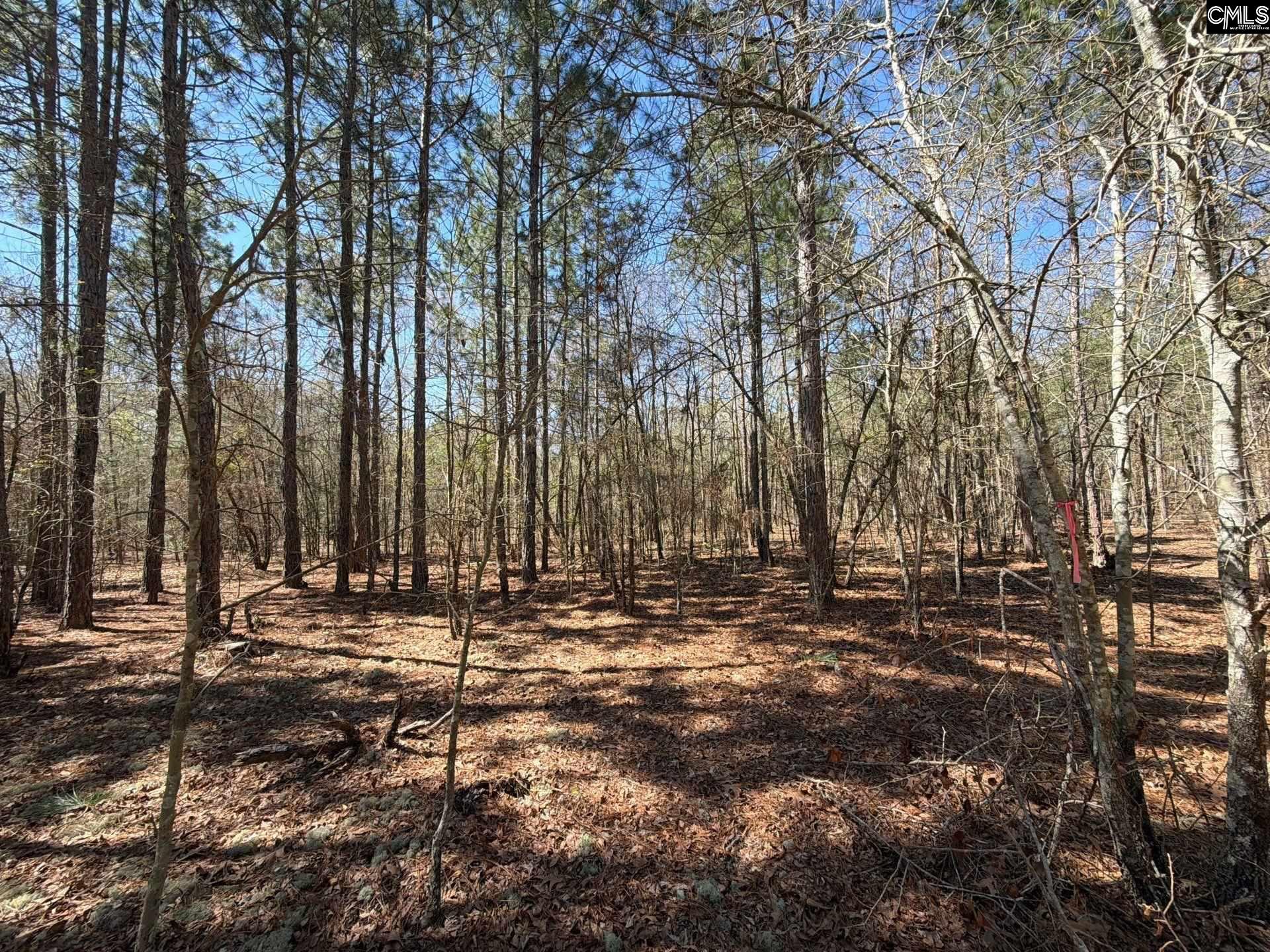 10 Boise Cascade Road, Unit BHL 10 Bethune, SC 29009 - Photo 10 of 24
