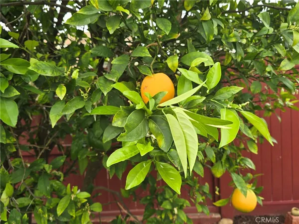 $4,000 | 32957 Bonita Mesa Street, Temecula, CA 92592