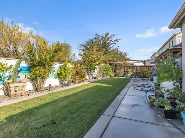 a view of park with large trees