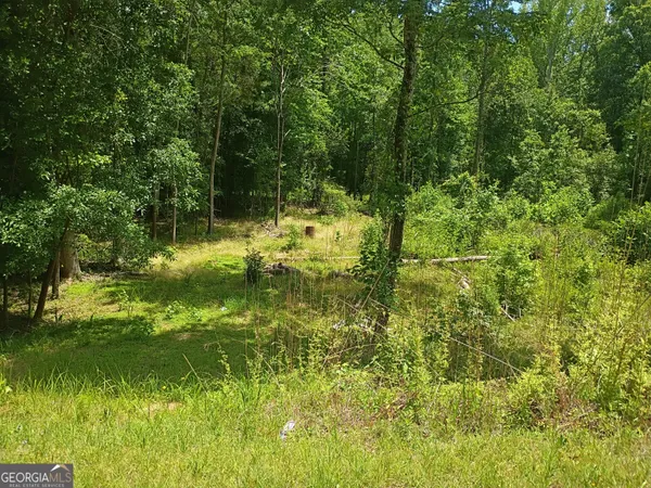 a view of a lake view