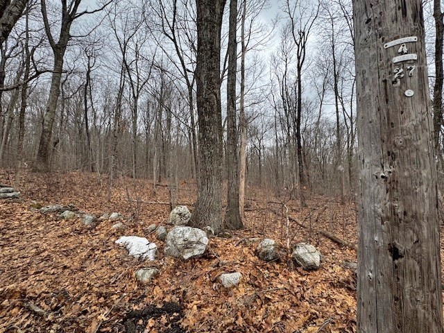 Lot 5 Gould Road Charlton, MA 01507 - Photo 2 of 5