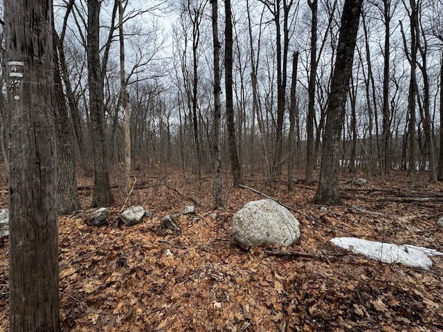 Lot 5 Gould Road Charlton, MA 01507 - Photo 4 of 5