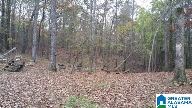 135 Honeysuckle Way, Unit 1 Riverside, AL 35135 - Photo 4 of 14