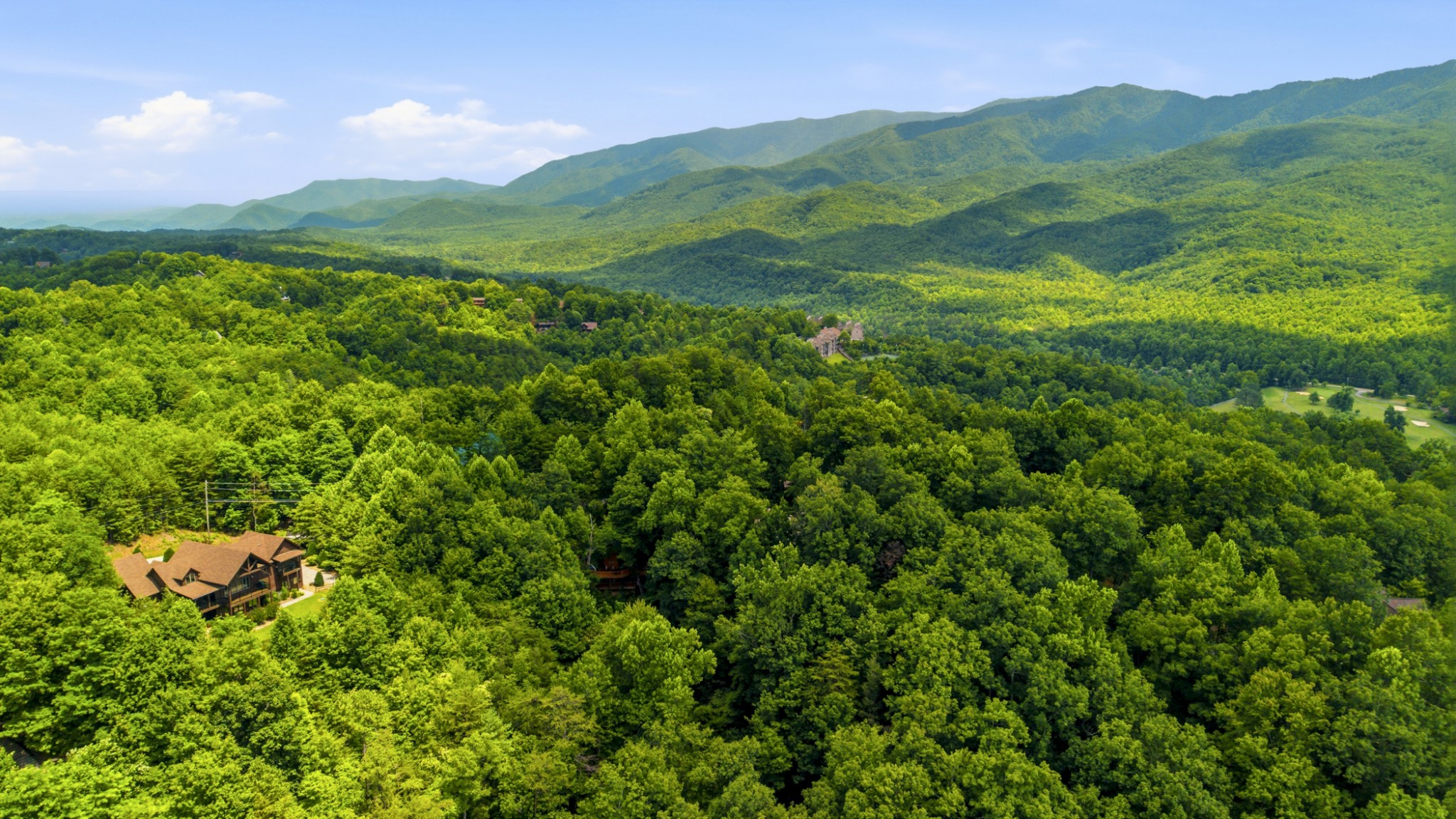 820 Pinnacle Vista Road Gatlinburg, TN 37738 - Photo 4 of 31
