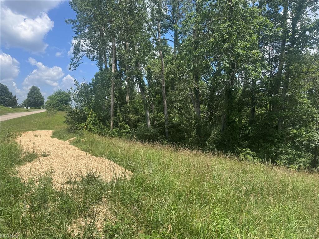 0 Point Lookout Road Stockport, OH 43787 - Photo 15 of 24 GetMedia (11)