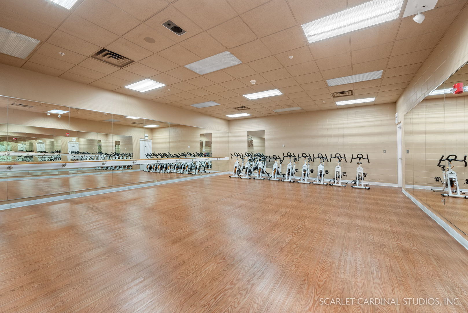 1736 Robert Lane Naperville, IL 60564 - Photo 76 of 82