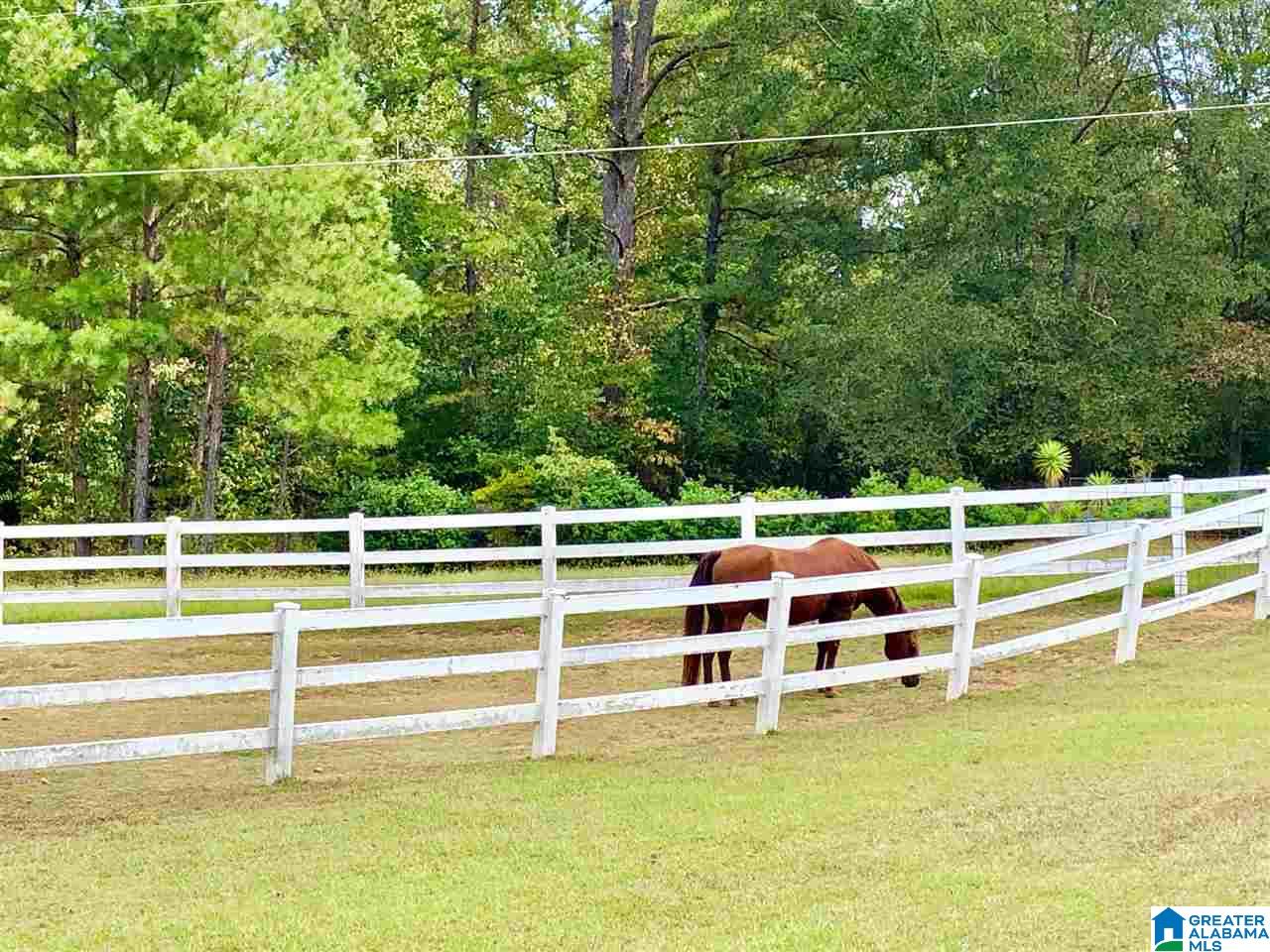 300 Beaver Ridge Drive Ashville, AL 35953 - Photo 2 of 20