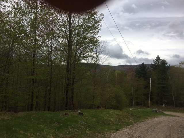 0 Rogers Road Hebron, NH 03241 - Photo 2 of 5 Gallery Image 2