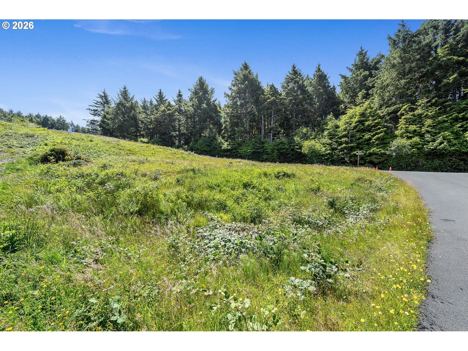 Cedar Lane, Unit 13 Arch Cape, OR 97102 - Photo 5 of 12 a view of a yard with a tree