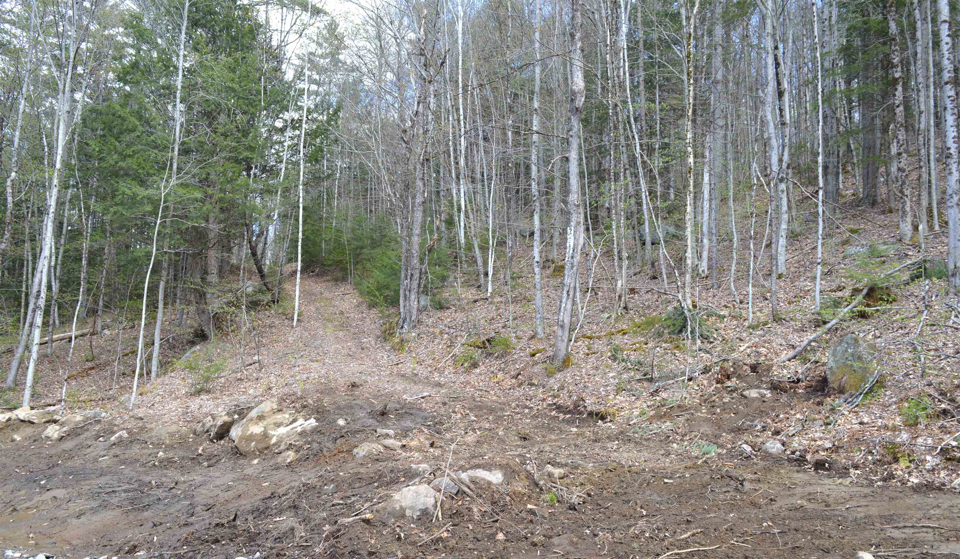 0 Dero Road Lempster, NH 03605 - Photo 4 of 6