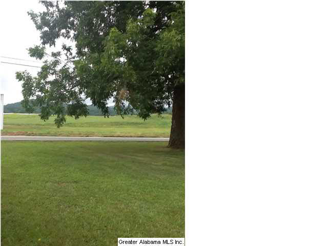 5387 McIntosh Road Oxford, AL 36203 - Photo 15 of 16 Gallery Image 15
