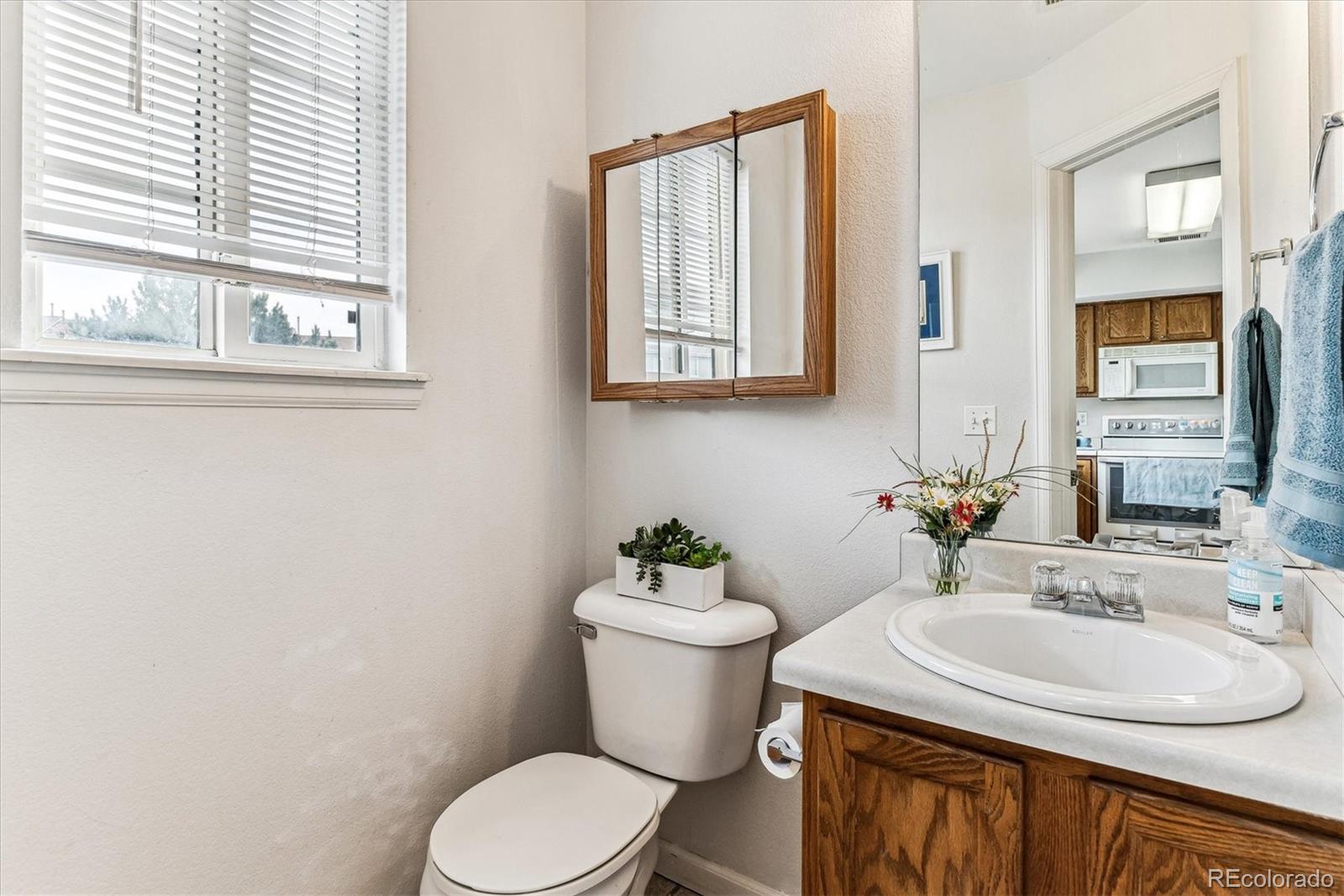 8199 Welby Road, Unit 4204 Denver, CO 80229 - Photo 8 of 23 Gallery Image 8