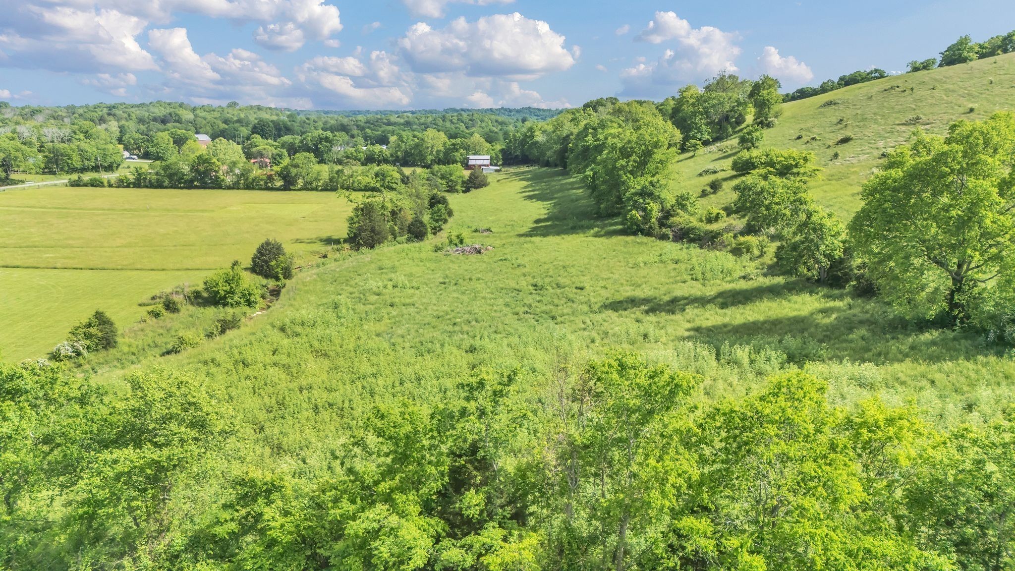 23 Fly Road Santa Fe, TN 38482 - Photo 22 of 22 a view of a garden with an ocean