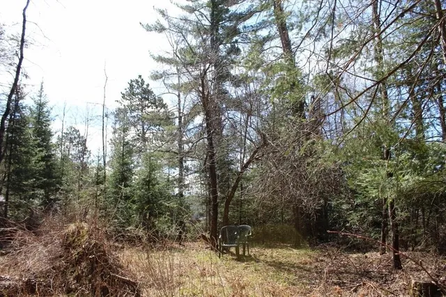 $90,000 | 55 N Highway, Unit 1, Pearson, WI 54462