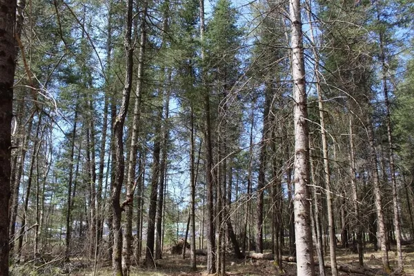 $90,000 | 55 N Highway, Unit 1, Pearson, WI 54462