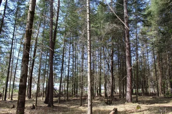 $90,000 | 55 N Highway, Unit 1, Pearson, WI 54462