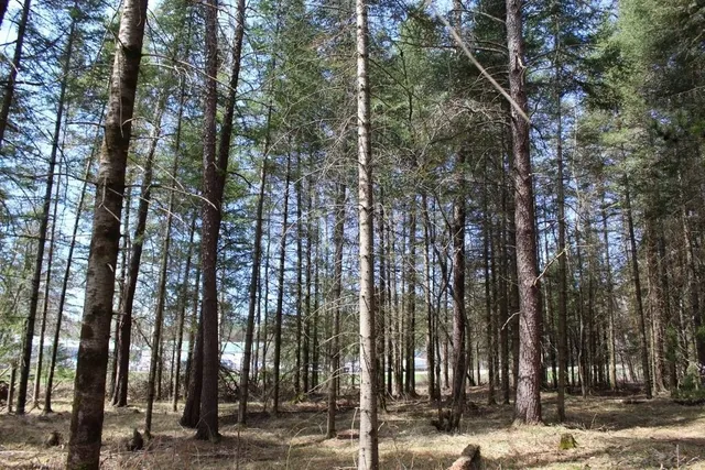 $90,000 | 55 N Highway, Unit 1, Pearson, WI 54462