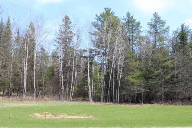 $90,000 | 55 N Highway, Unit 1, Pearson, WI 54462