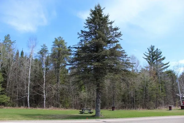 $90,000 | 55 N Highway, Unit 1, Pearson, WI 54462