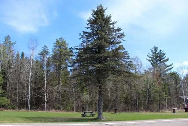 $90,000 | 55 N Highway, Unit 1, Pearson, WI 54462