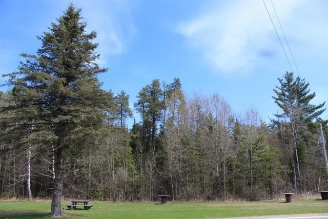 $90,000 | 55 N Highway, Unit 1, Pearson, WI 54462