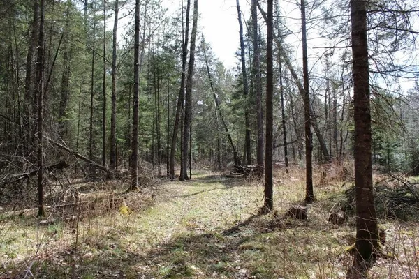 $90,000 | 55 N Highway, Unit 1, Pearson, WI 54462