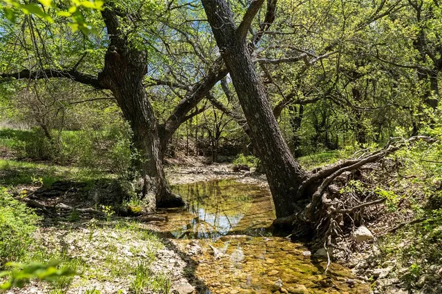 a backyard of a house